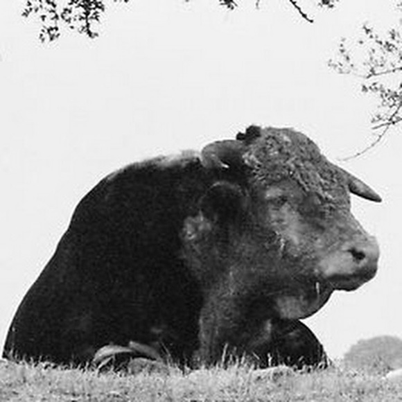 Meet your Posher, Catherine - Picture 1 of 1